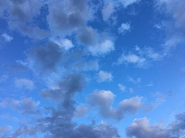 4F4DDBD3-7E88-4323-BE08-2B446BBAEFB5