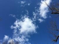 IMG 0052