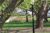 IMG 0570