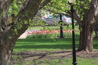 IMG 0571