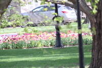 IMG 0576