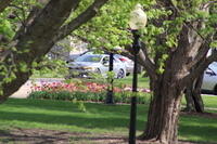 IMG 0578