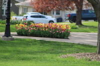 IMG 0580