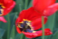 IMG 0927